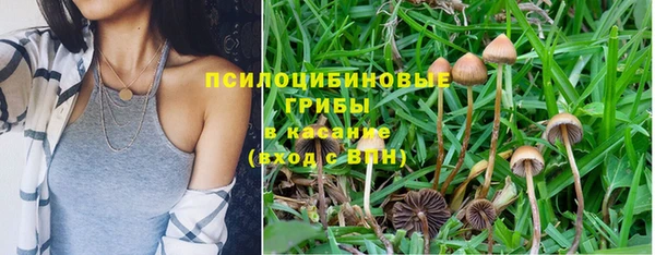 метадон Верея